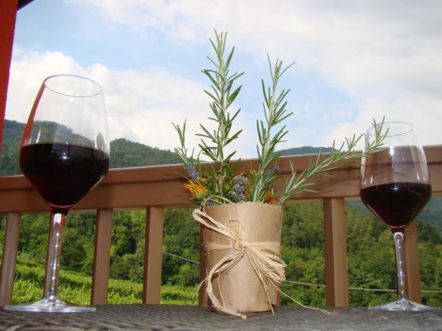 Agritur Maso Spezial Villa Villa Lagarina Luaran gambar