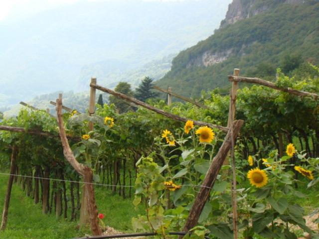 Agritur Maso Spezial Villa Villa Lagarina Bilik gambar