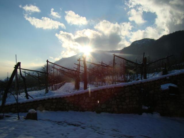 Agritur Maso Spezial Villa Villa Lagarina Luaran gambar