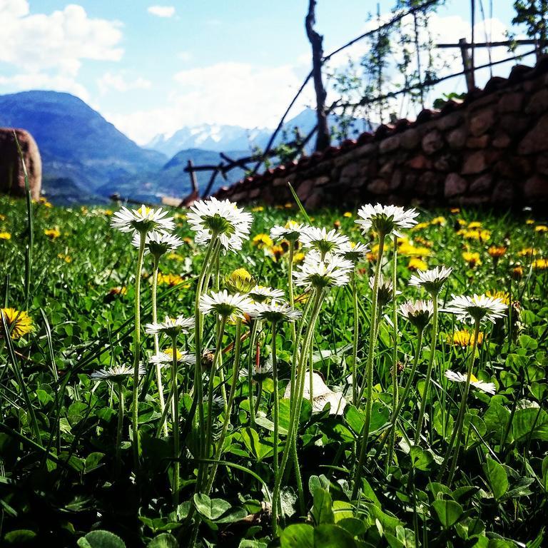 Agritur Maso Spezial Villa Villa Lagarina Luaran gambar