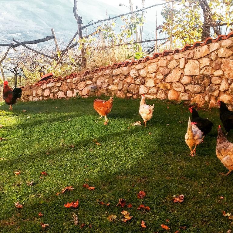 Agritur Maso Spezial Villa Villa Lagarina Luaran gambar