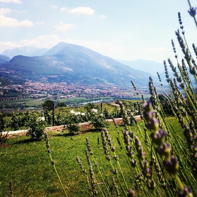 Agritur Maso Spezial Villa Villa Lagarina Luaran gambar